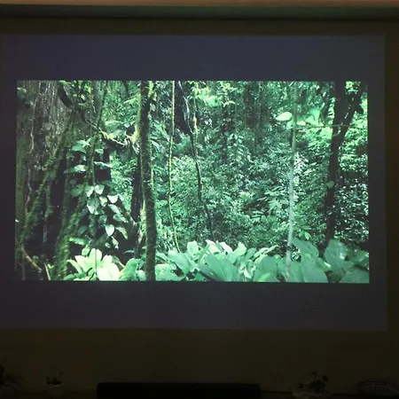 Unity Willa Andipáta